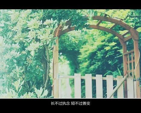 ʱ׷ϰ,QQռز
