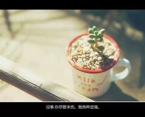 <b>ʱ׷ϰ,QQ</b>
