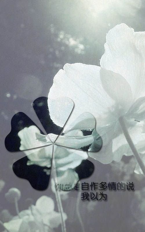 û˸һ