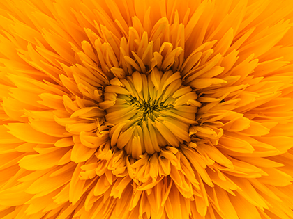 Ϊ˭ҾҪ